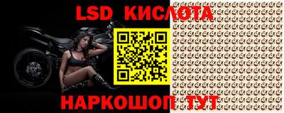 PSILOCYBIN Жуковский
